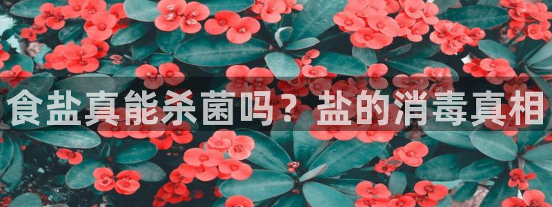 威九国际78mob游戏说明