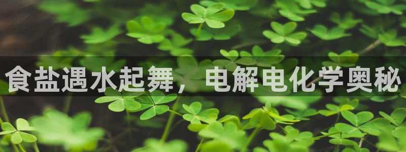 78mapp威九国际人民网