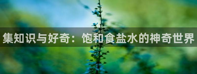 威九国际cm78