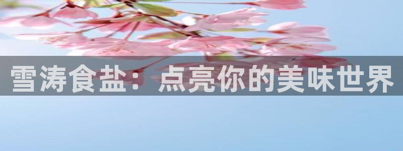 威九国际网站入口官网首页