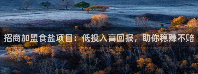 78mapp威九国际网页版