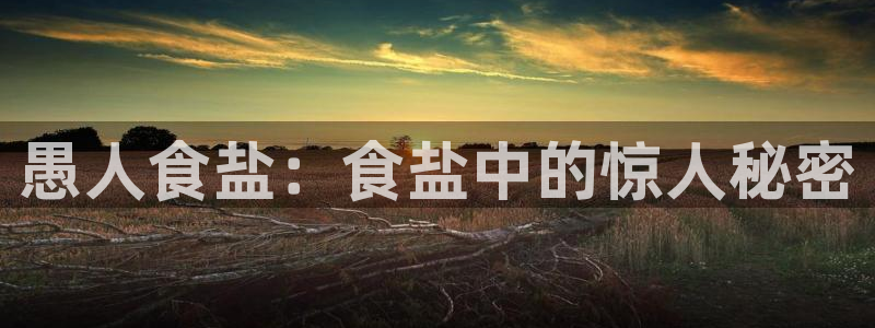 威九国际78m78免费