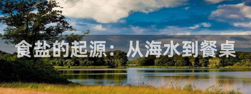 威九国际
