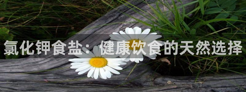 威九国际78m小说