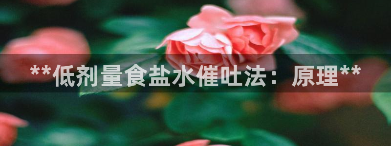 威九国际com
