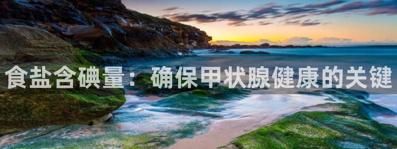 78mapp威九国际网页版