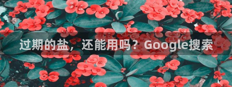 威九国际66