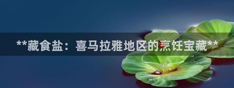 78mapp威九国际官网版