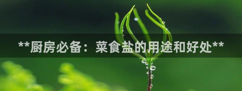 威九国际MM