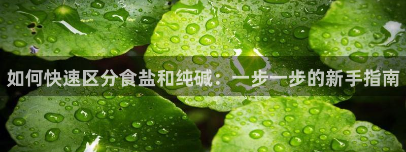 威九国际最近的视频