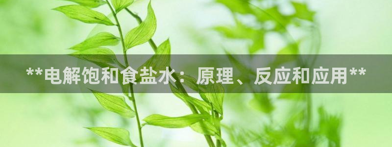 78mapp威九国际免费官方版下载