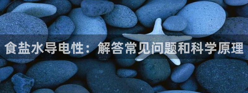 威九国际app客服电话