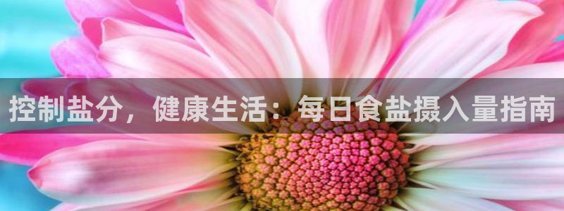 威九国际免费ppt网址