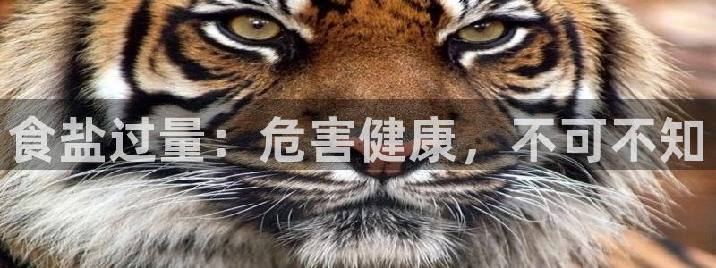 威九国际客服电话号码是多少