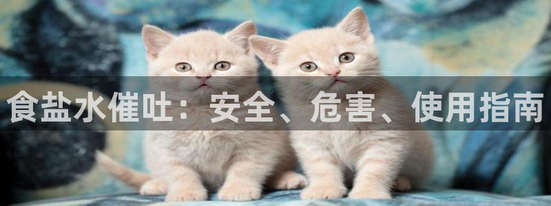 威九国际网站在哪里