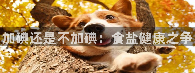 威九国际摩托电影HD