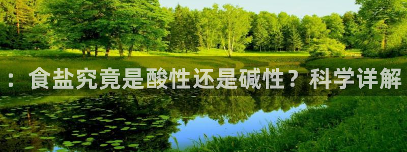 威九国际H