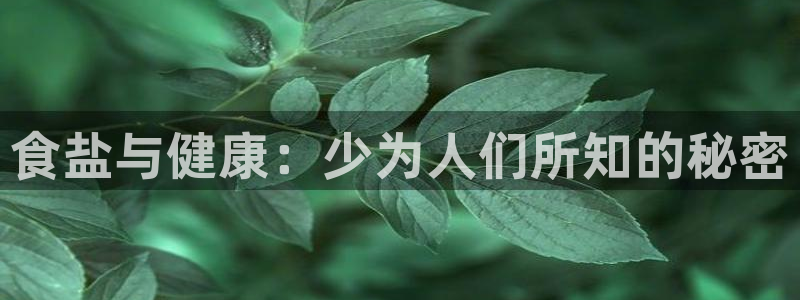 威九国际网站入口rdquo