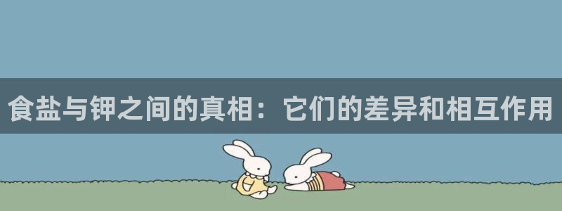 威九国际网站进入(中国)有限公司-官网
