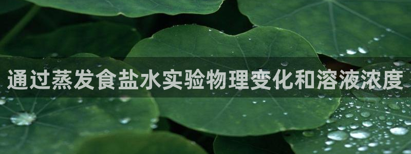 威九国际APP入口