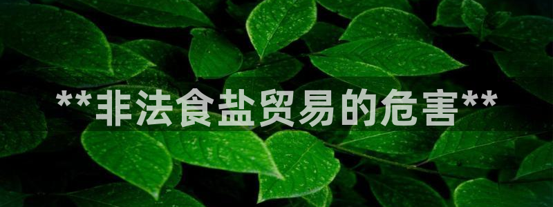 威九国际78M.APP