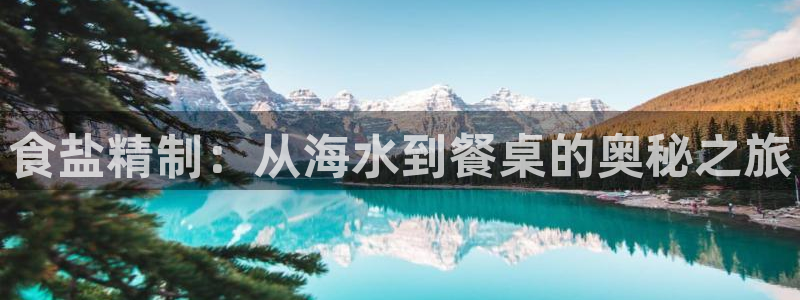 威九国际app入口在哪