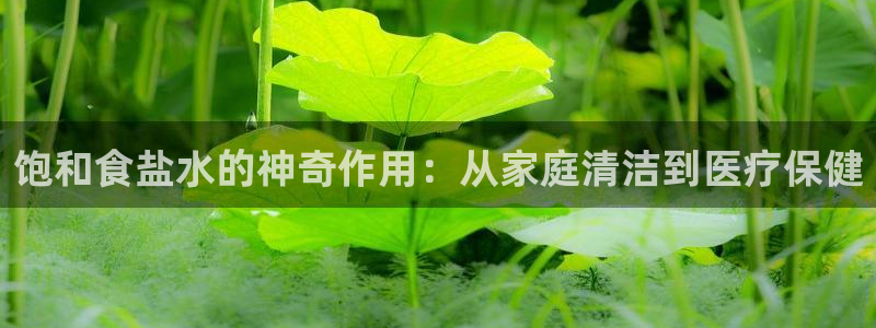 威九国际APP