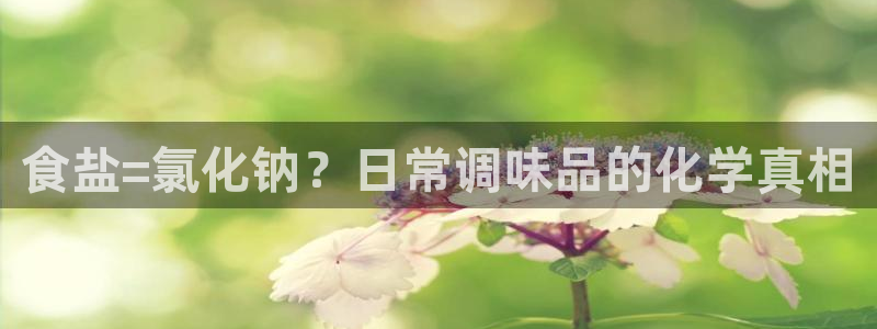 威九国际官方网站最新版本更新内容介绍