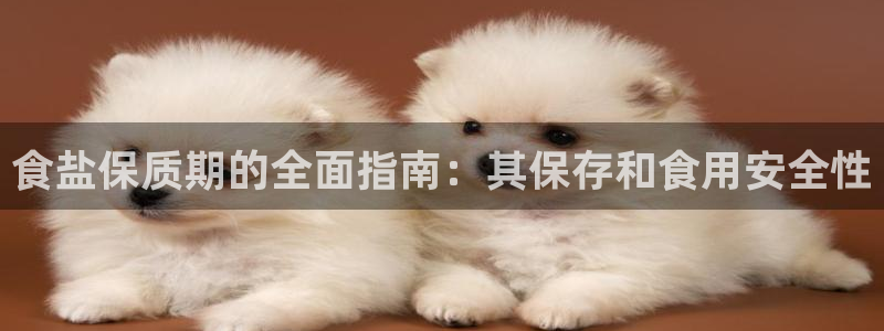 威九国际网站入口rdquo