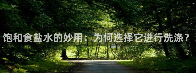 威九国际女主角