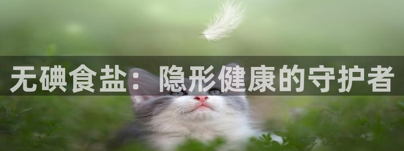 威九国际ft