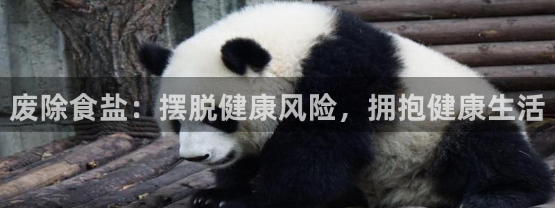 威九国际取款不到账
