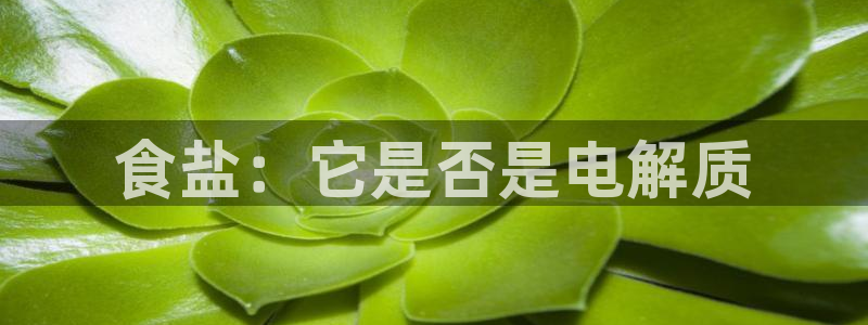 威九国际66视频