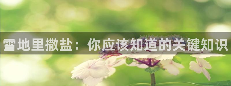 威九国际在哪里