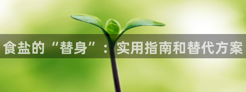 威九国际精