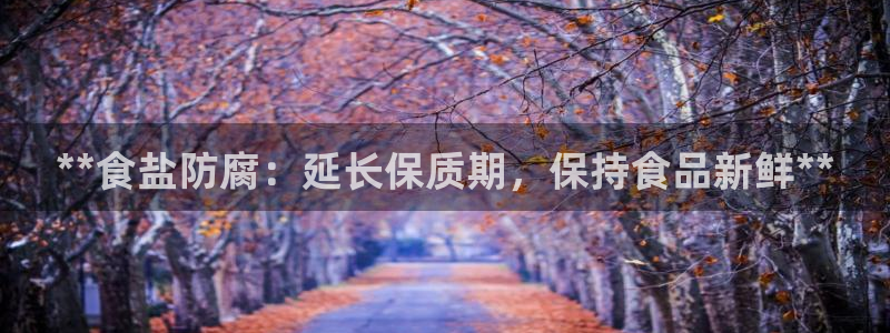 威九国际ppt免费下载
