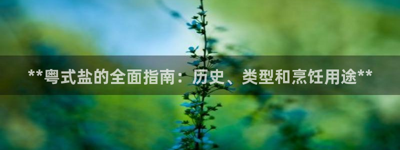 威九国际客服电话号码