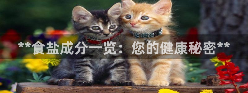 威九国际安全吗的认证团队