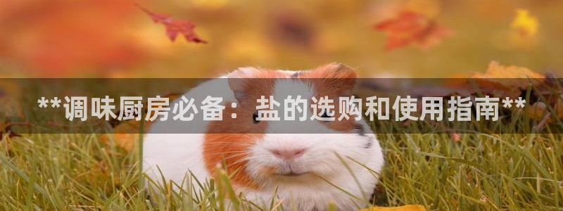 威九国际app网站官网