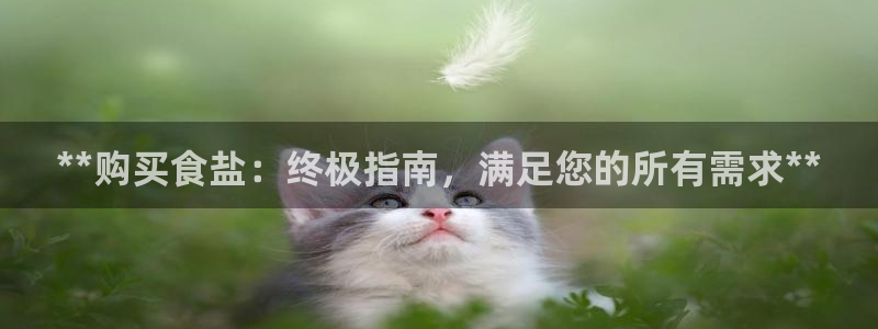 威九国际能提现吗