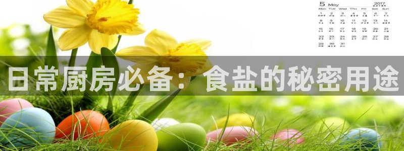 威九国际小说
