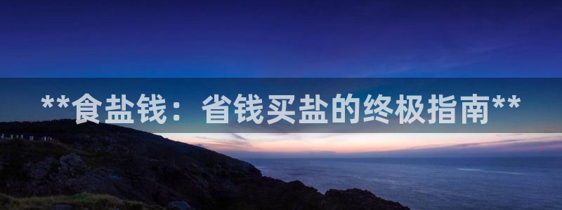 威九国际软件公司简介