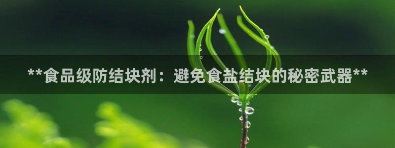 威九国际韩国