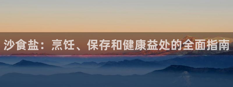 威九国际电子有限公司