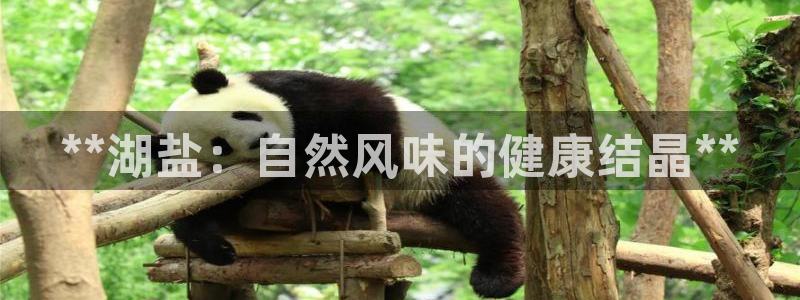 78mapp威九国际成全视频