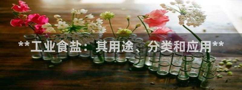 威九国际app客服电话