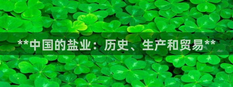 78mapp威九国际人民网