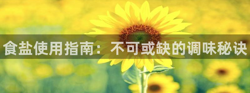 威九国际网站链接