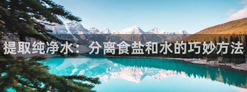 78mapp威九国际神曲口服液