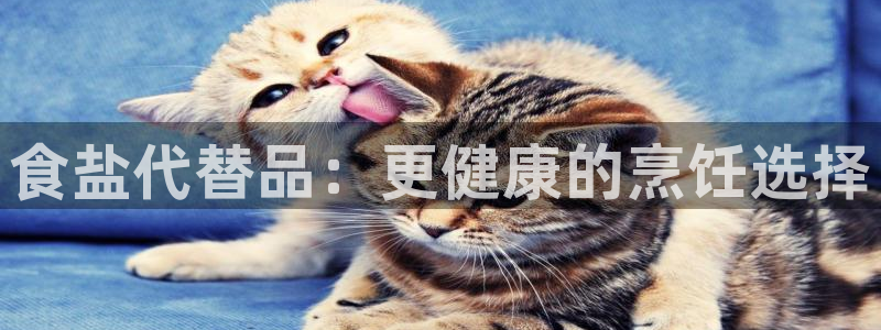 威九国际的女主